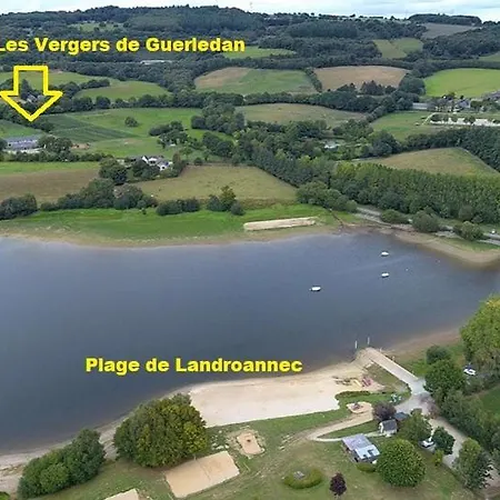 Le Camelia - Les Vergers De * Guerlédan
